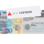 dni-argentino-mostrando-fotos-comparativas-falsas-reales